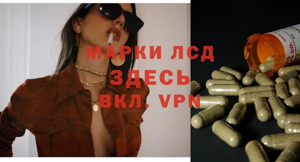 ПСИЛОЦИБИНОВЫЕ ГРИБЫ Вяземский