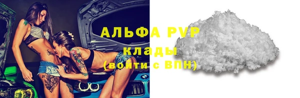 ПСИЛОЦИБИНОВЫЕ ГРИБЫ Вяземский