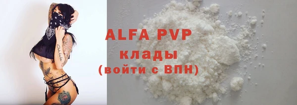 ПСИЛОЦИБИНОВЫЕ ГРИБЫ Вяземский