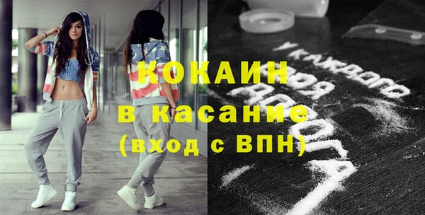 ПСИЛОЦИБИНОВЫЕ ГРИБЫ Вяземский