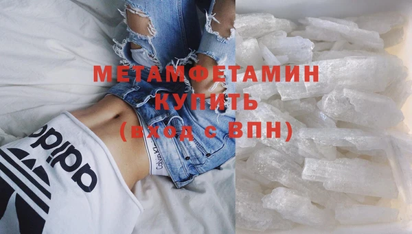 ПСИЛОЦИБИНОВЫЕ ГРИБЫ Вяземский